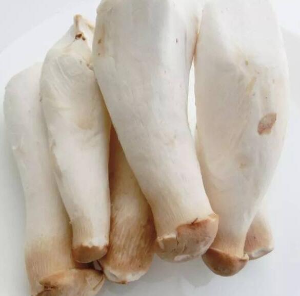 食用菌 (2).jpg